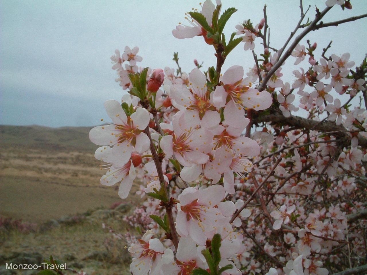 64756284_312493539700075_5464624355424075776_n