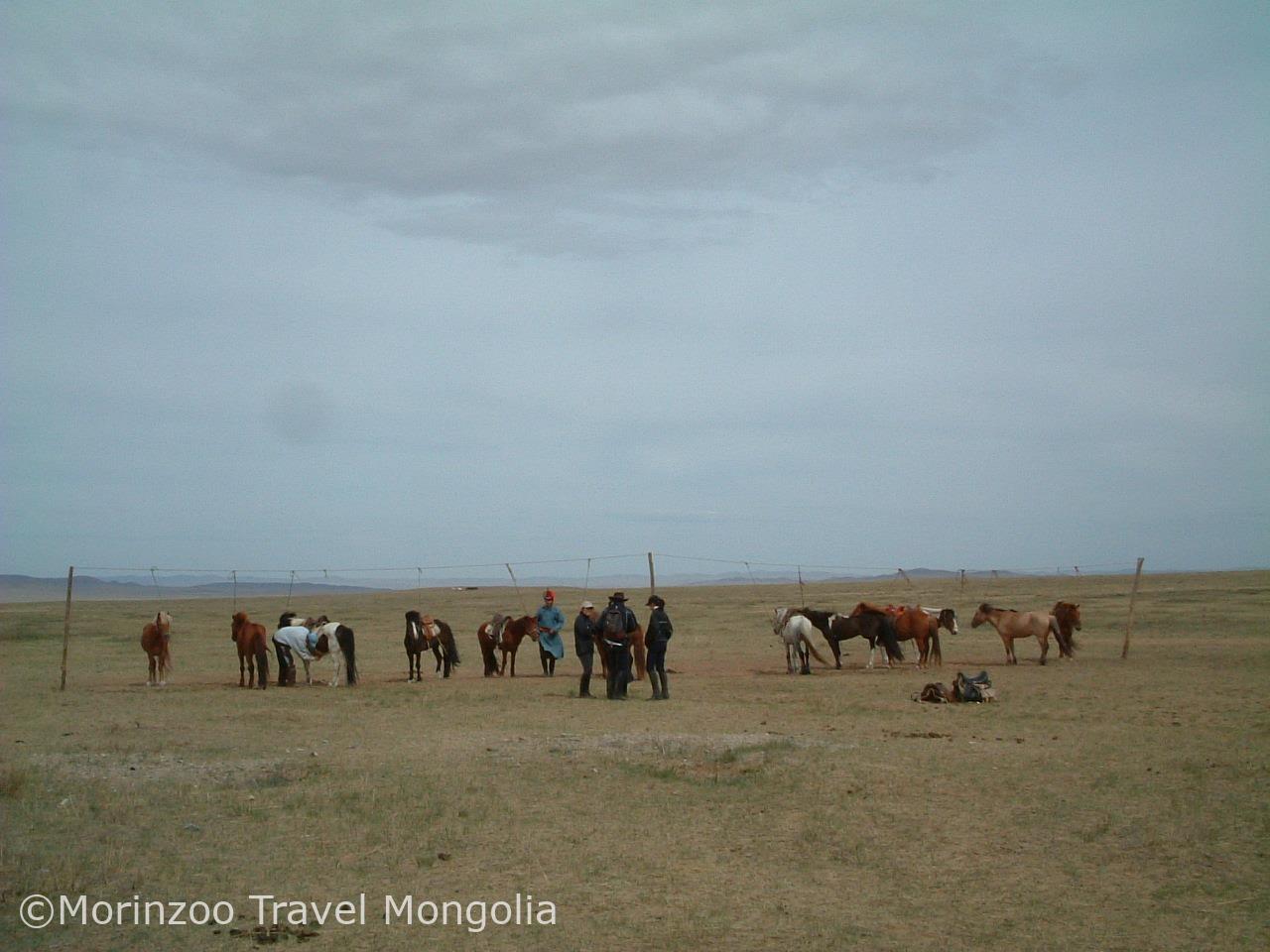 65033513_443307963121247_5990353052811395072_n