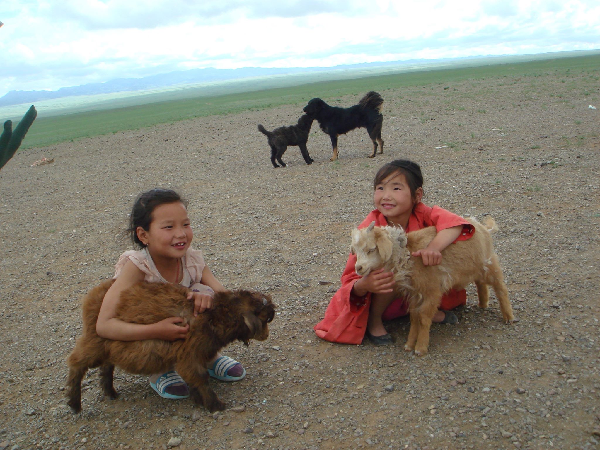 66228580_1103246073219857_2980087363549528064_n