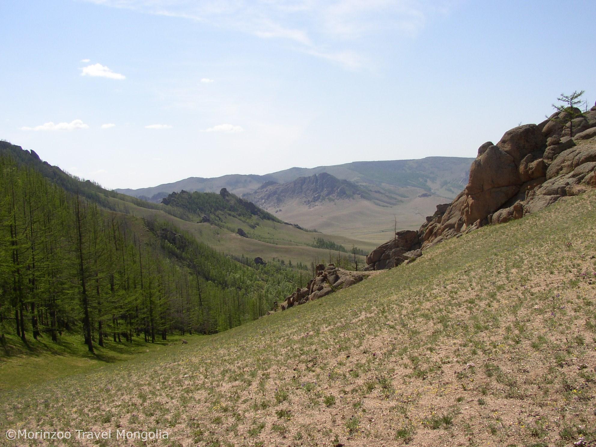 65040770_2248659855250612_5490434201180176384_n