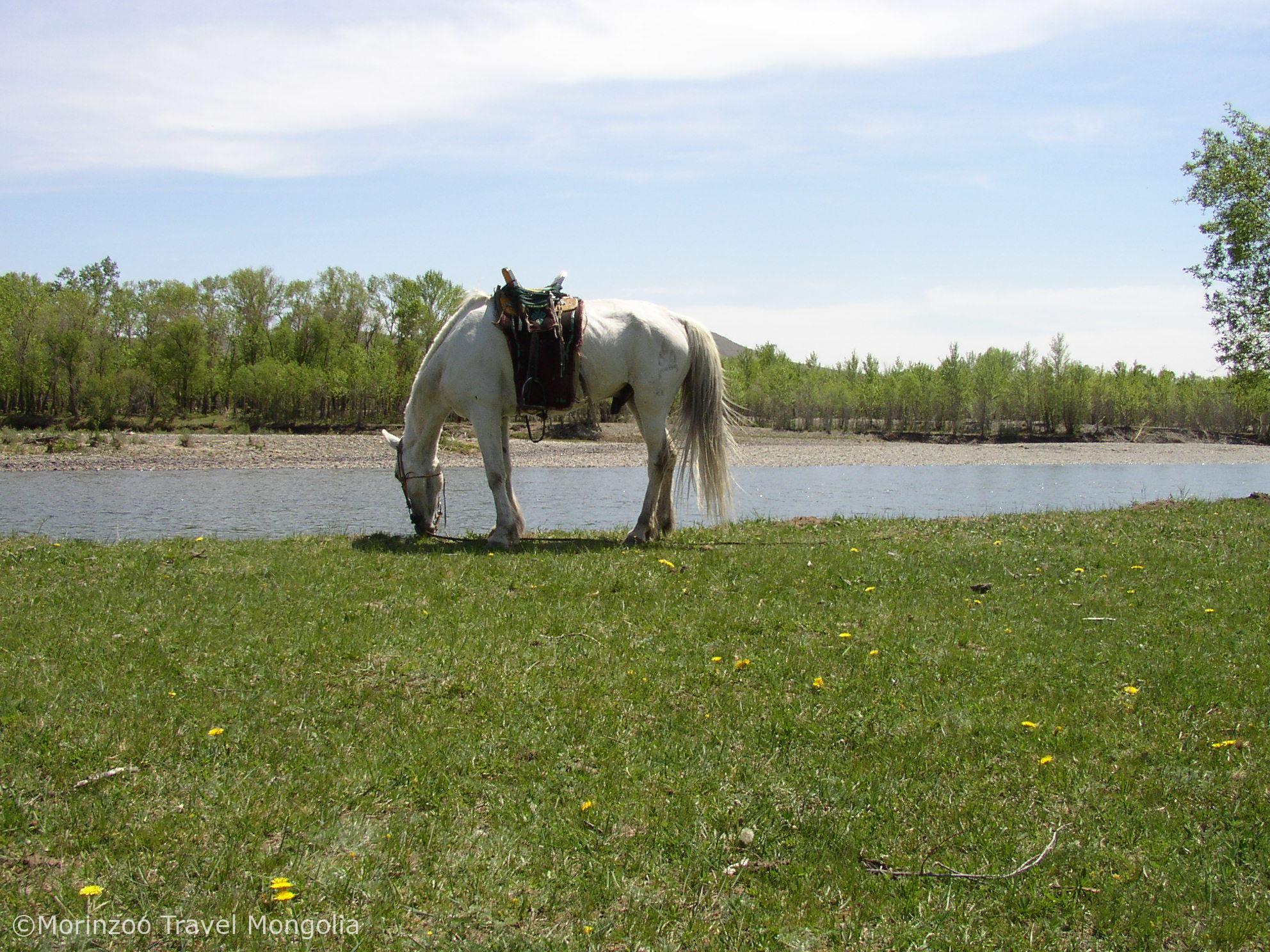 65367538_2362822833936951_6783878059230494720_n