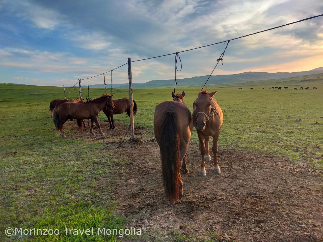 2024_08_18_08_29_IMG_7478